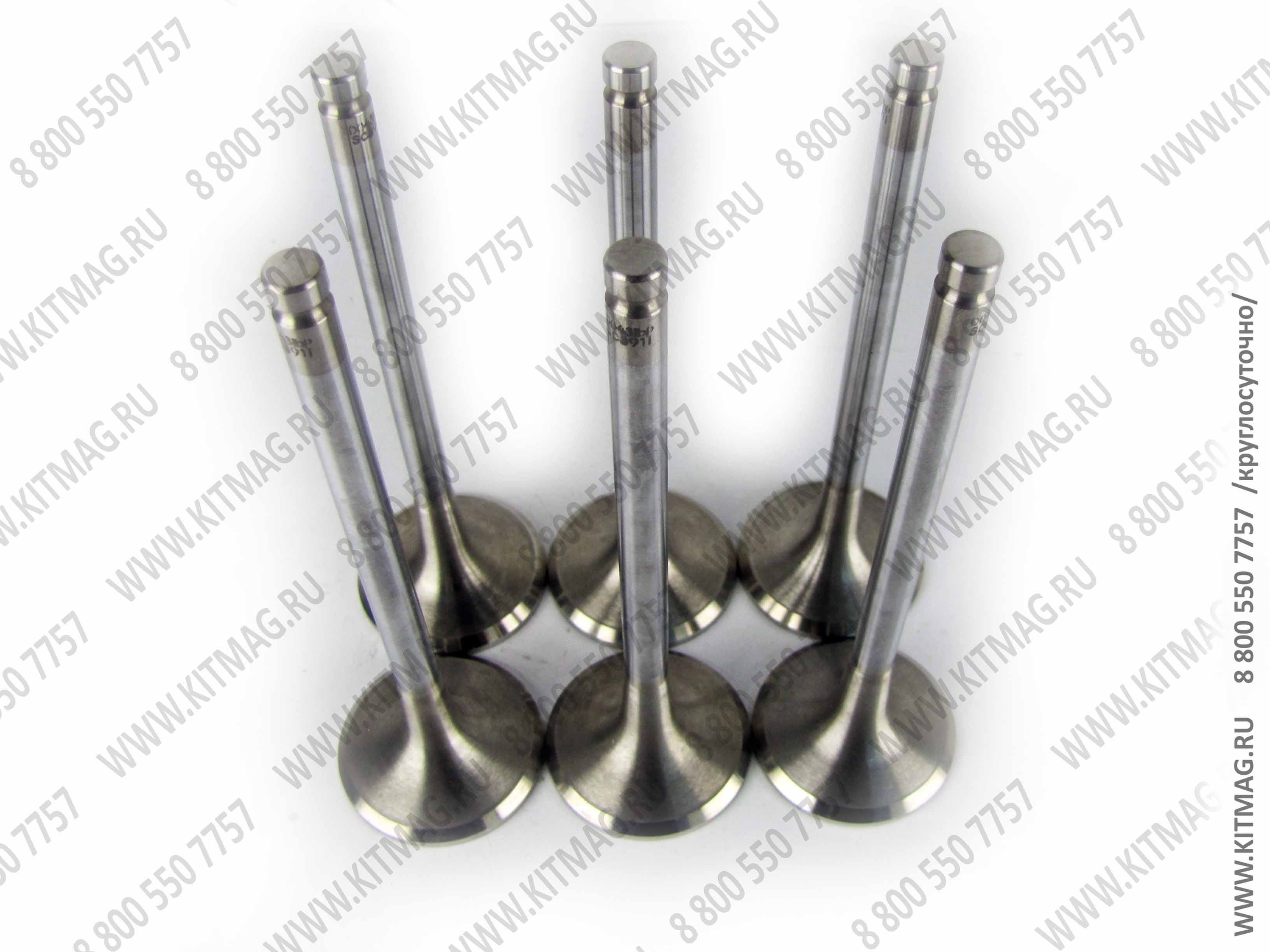 картинка Клапан впускной двигателя SHANGHAI D6114ZG1B (комплект 6шт.) от магазина Одежда+