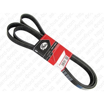 картинка Ремень генератора D16A-106-30 SC8DK280Q3 Евро 3 от магазина Одежда+