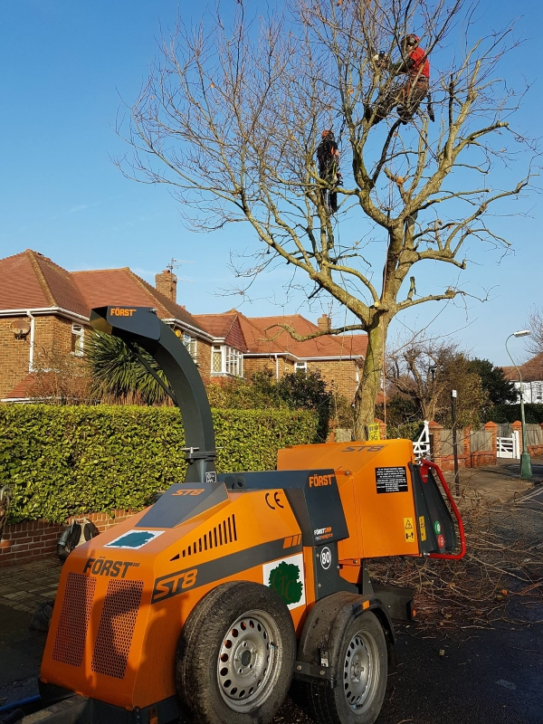 картинка Измельчитель веток Forst ST8 от магазина Одежда+