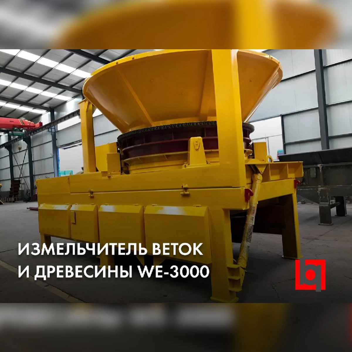 WE-3000 обзор