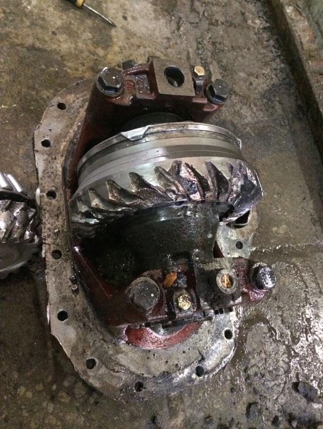 картинка Редуктор среднего моста 17*29 XZZX-D102 800307062 12070613 от магазина Одежда+